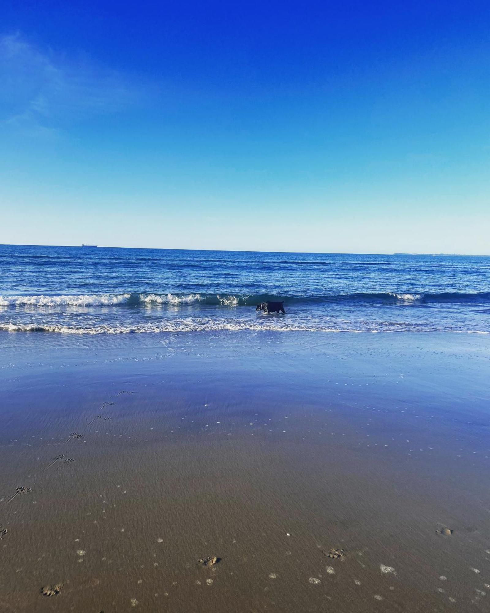Beach Apartment 파파모아 외부 사진